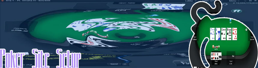 Global poker software